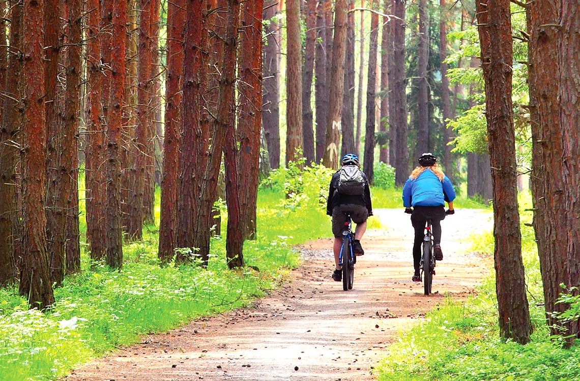 Dag 2: Första SPA-dagen cykling-skog-sparesa-marienbad-sparesor-tjeckien